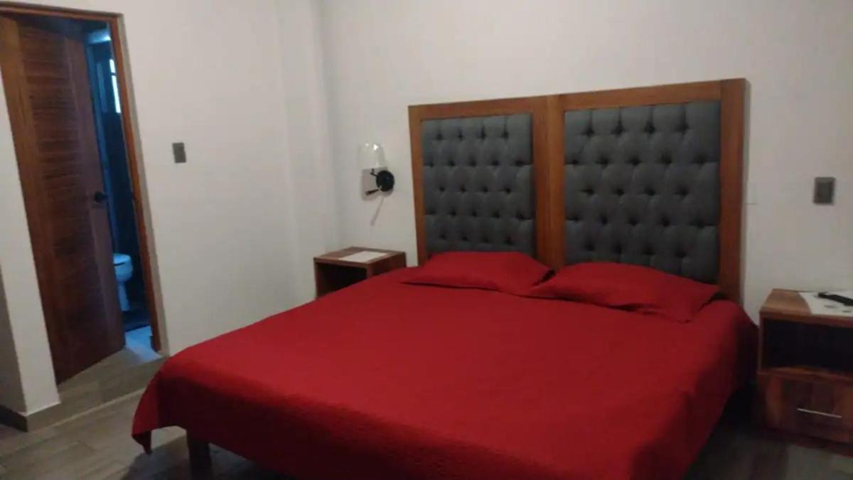 Suites C O V A D O N G A Mexico City Room photo