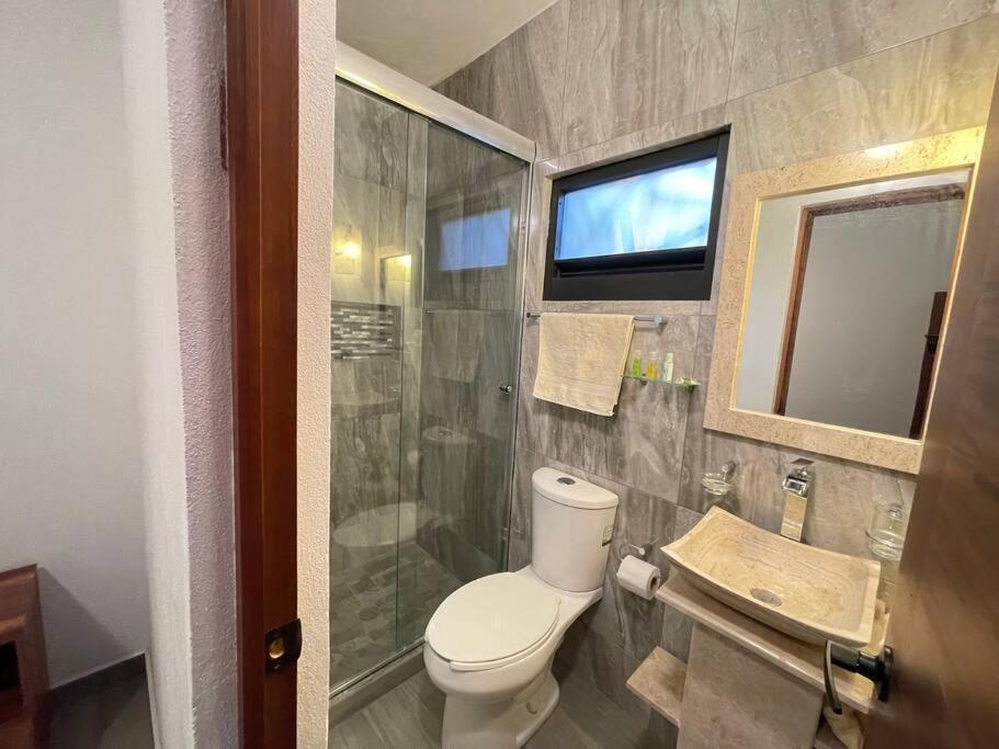 Suites C O V A D O N G A Mexico City Room photo